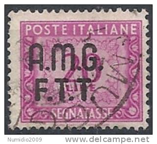 1947-49 TRIESTE A USATO SEGNATASSE 2 RIGHE 20 LIRE - RR11341 - Postage Due