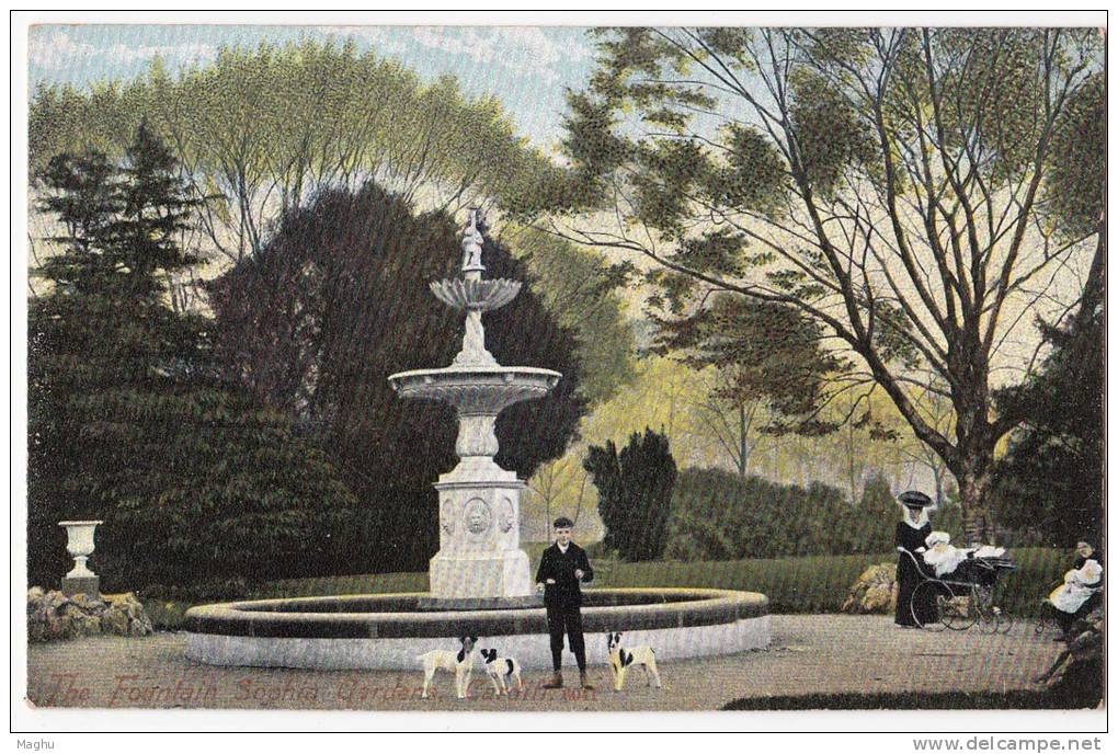 The Fountain Sophia Gardens, Cardiff, Wales, Dog / Dogs M J R Postcard - Municipios Desconocidos