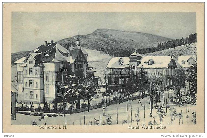 Mars13 861 : Schierke I. H.  -  Hotel Waldfrieden - Schierke