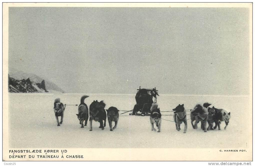 GROENLAND - Départ Du Traîneau à Chasse - Grönland