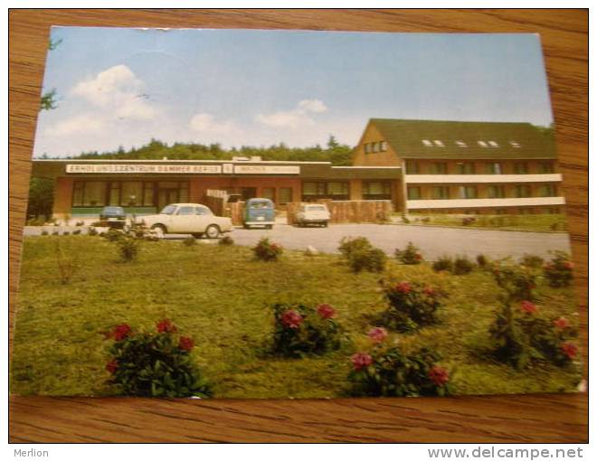 Steinfeld Oldb. - Dammer Berge - Hotel Restaurant Schemder Bergmark  -Ponyhof -  Automobile Auto Car    D103287 - Oldenburg