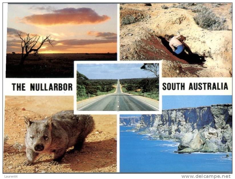 (360) Australia - SA - The Nullabor - Outback