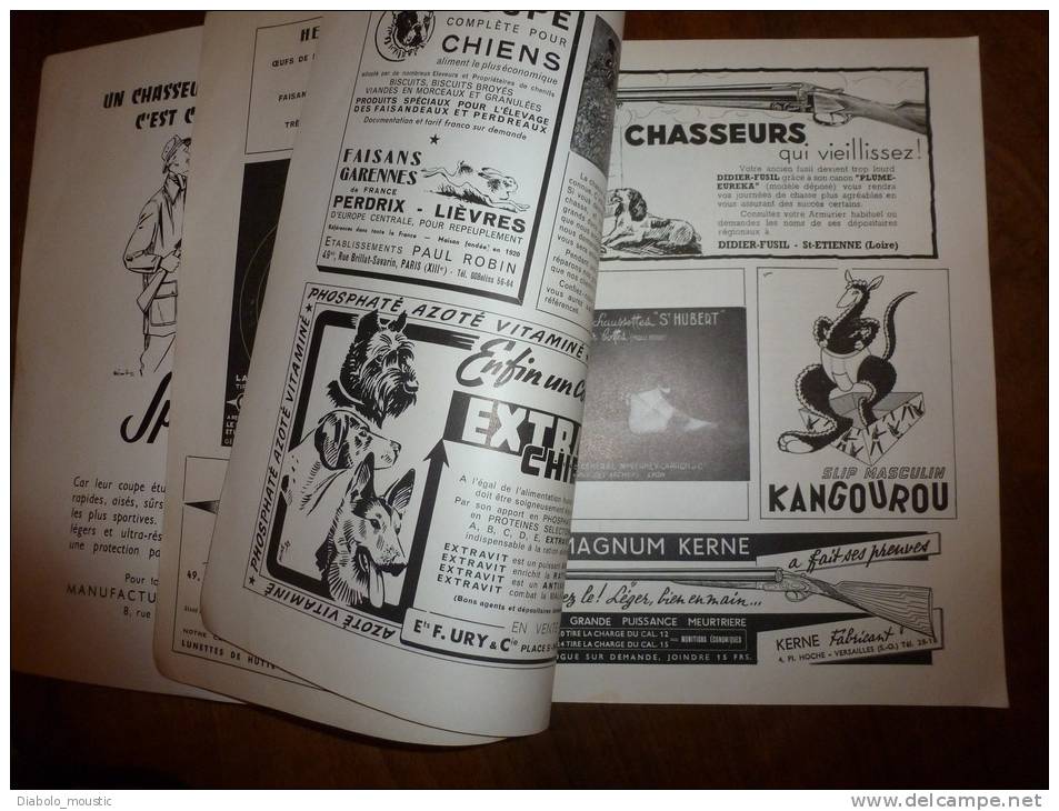 1953  N° 8   PLAISIR De La CHASSE  Envoi Gratuit Pour La France Et Le Monde Entier - Chasse/Pêche