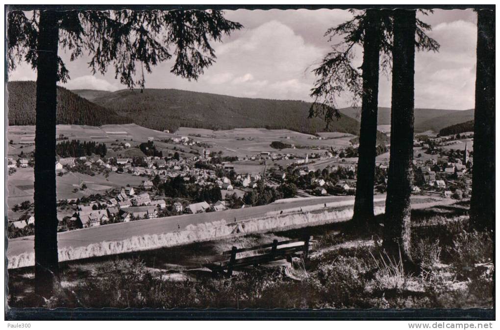 Baiersbronn - Panorama - Baiersbronn