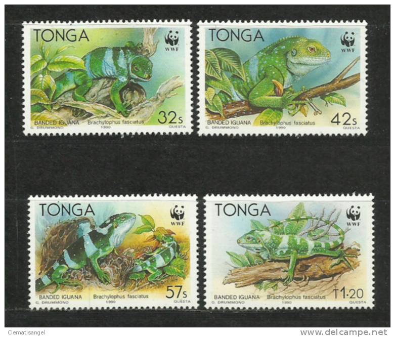 TOP!! TONGA * LEGUANE * PRACHTSATZ **!! - Tonga (1970-...)