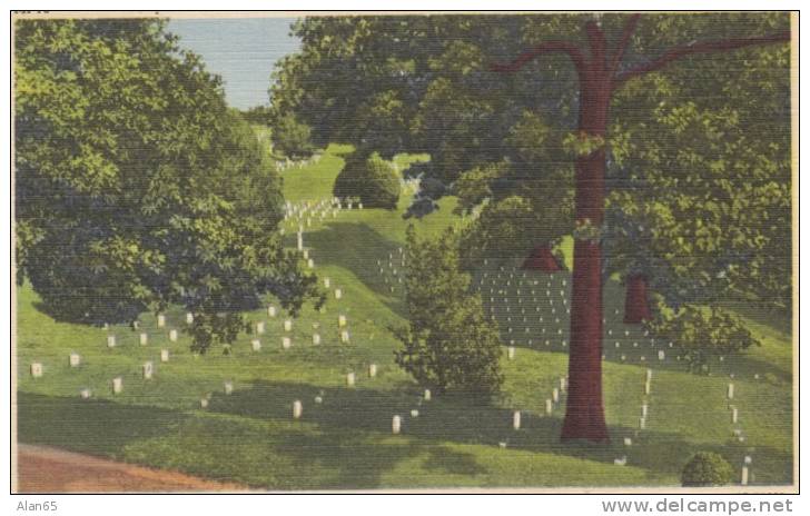 Vicksburg MS, National Cemetery, US CivilWar, C1940s Vintage Linen Postcard - Cimetières Militaires