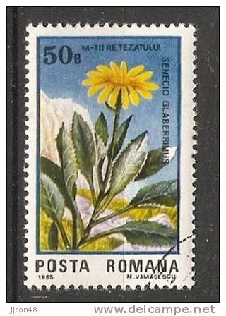 Romania 1985  Retezat National Park  (o) - Used Stamps