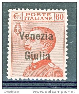 Venezia Giulia 1918-19 SS 2 N. 28 C. 60 Carminio MNG (senza Gomma)- Se MNH Cat € 600 - Vénétie Julienne