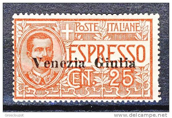 Venezia Giulia 1919 Espresso N. 1 C. 25 Rosso MLH Cat. € 240 - Vénétie Julienne