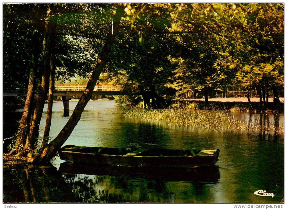 VIVONNE      LA PASSERELLE SUR LE CLAIN - Vivonne