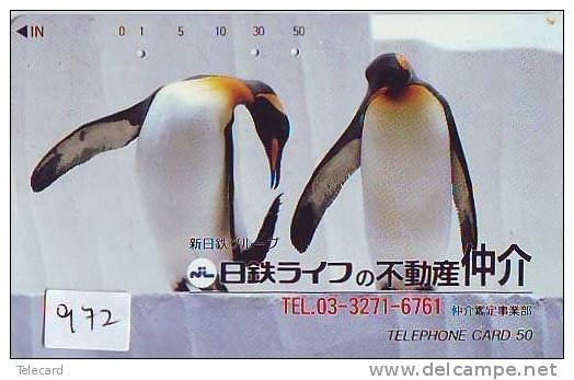 Oiseau PENGUIN Pinguin MANCHOT PINGOUIN Bird (972) - Pingouins & Manchots