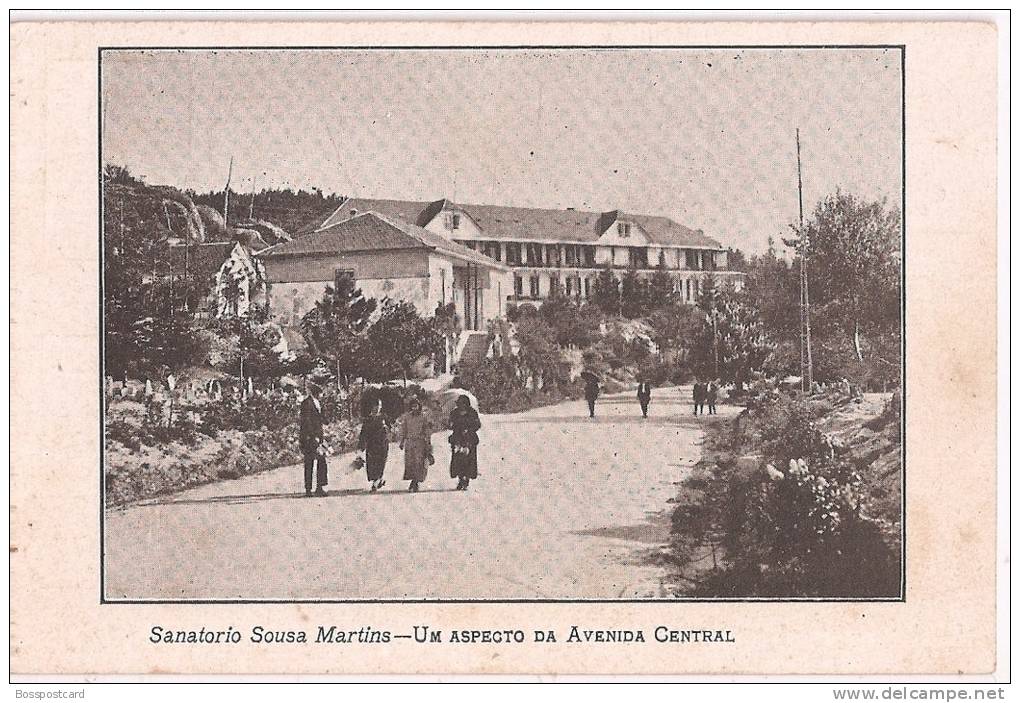 Guarda - Sanatório Sousa Martins - Um Aspecto Da Avenida Central - Guarda