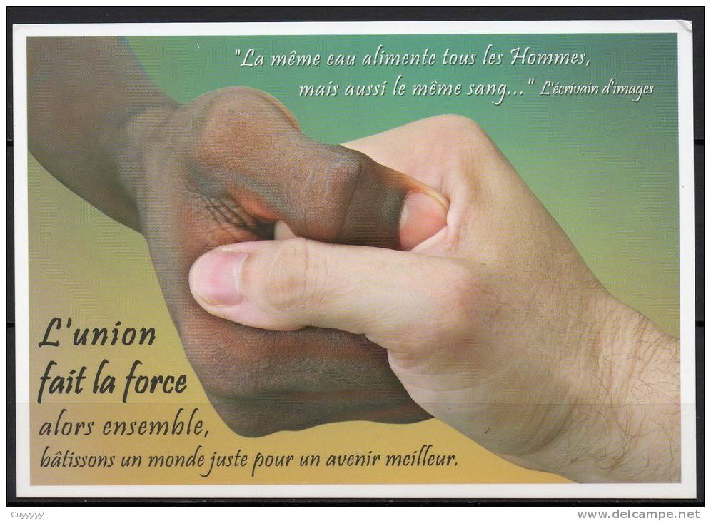 Mayote - Carte Postale - L'union Fait La Force - Mayotte