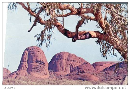 (295) Australia - NT - The Olgas - Uluru & The Olgas