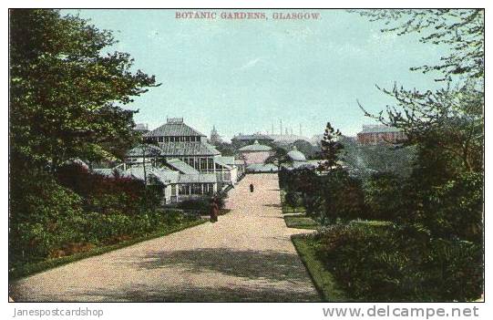 COLOURED POSTCARD BOTANIC GARDENS - GLASGOW - - Dunbartonshire