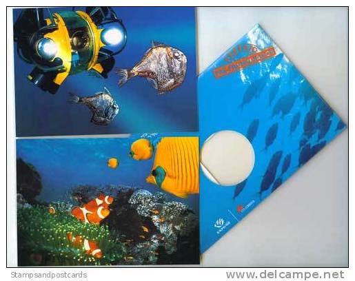 Portugal 6 Cartes Entier Postaux Expo 98 Poisson Plonge Bateaux 6 Postal Stationery Expo 98 Themes Fish Diving Boats - Immersione