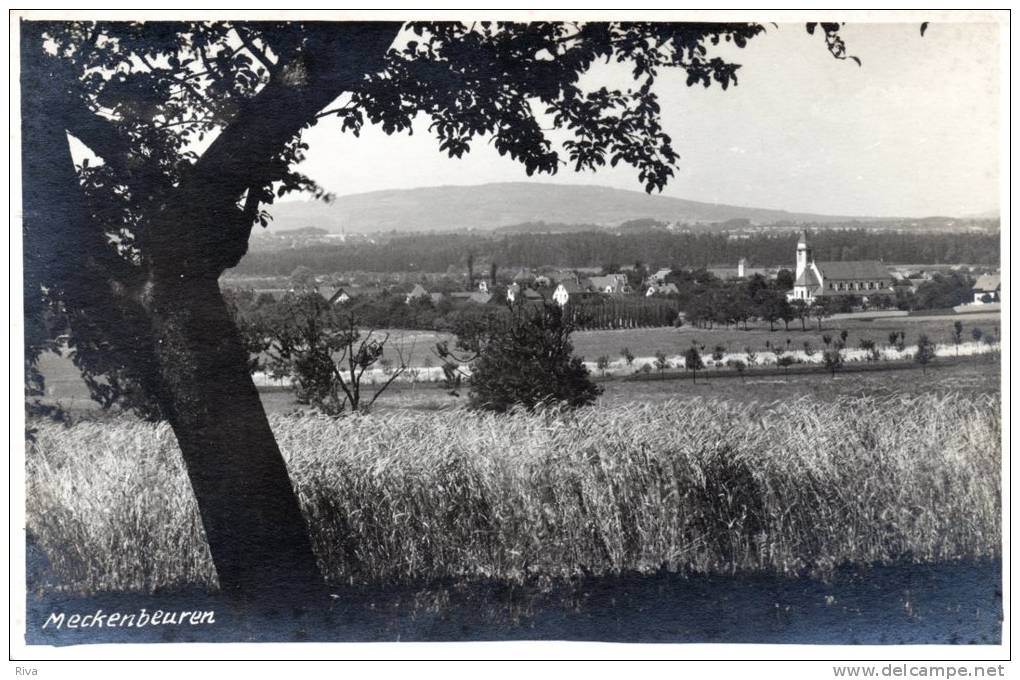 .Meckenbeuren (Gesamtansicht ) - Meckenbeuren