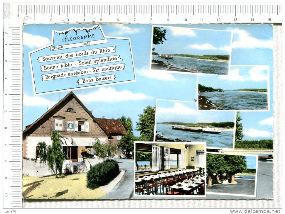 LAUTERBOURG -  Restaurant  Du   RHIN -  7 Vues  - Télégramme - Lauterbourg