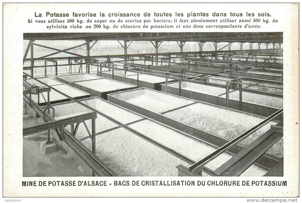 MINE DE POTASSE D'ALSACE BACS DE CRISTALLISATION DU CHLORURE DE POTASSIUM - Mines