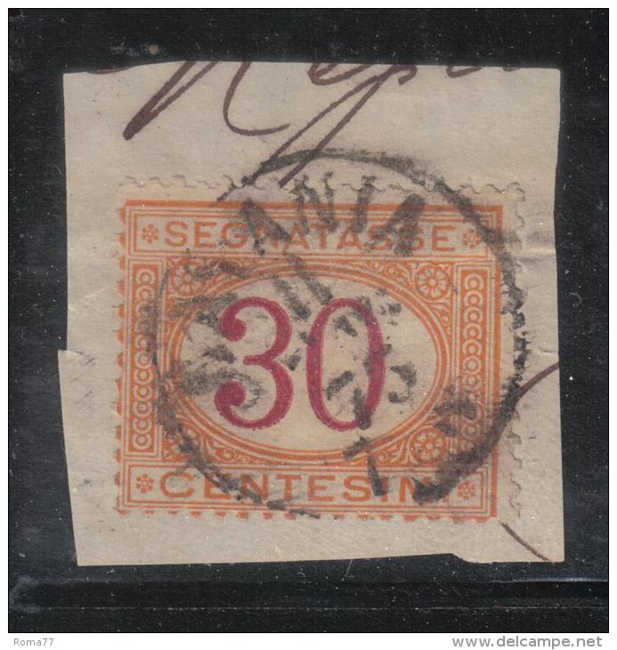 3RG23 - REGNO , Segnatasse Il 30 Cent N. 7 Con Annullo Del 1875 - Segnatasse