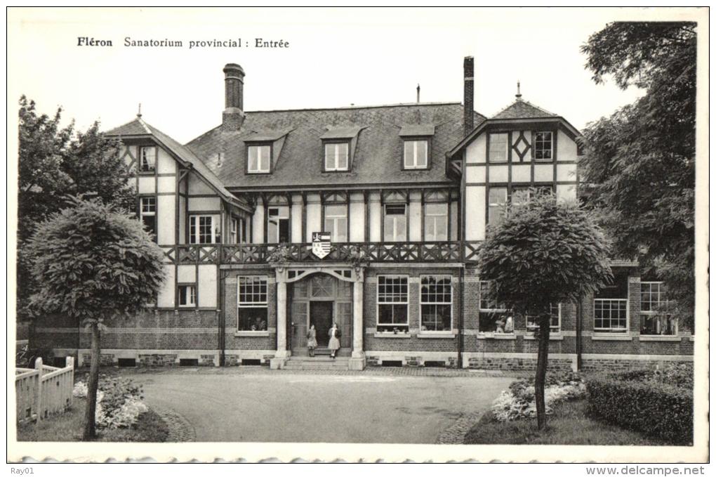 BELGIQUE - LIEGE - FLERON - Sanatorium Provincial: Entrée. - Fléron