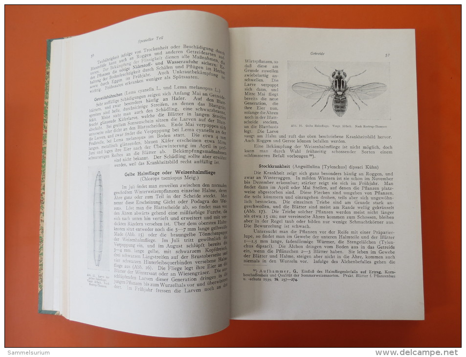 Dr.Braun/Dr.Riehm "Deutscher Landbau" Lehrbuchreihe Des Forschungsdienstes" Von 1945 - Natuur