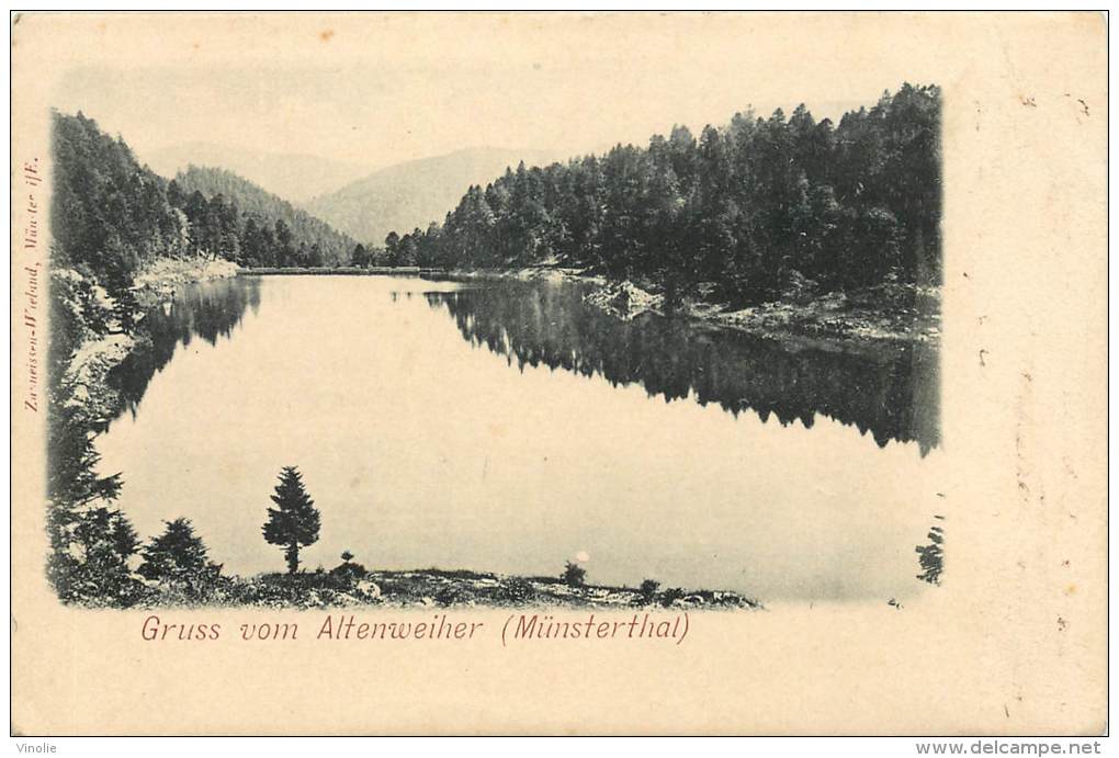 Réf : BO-13-420 : Gruss Vom Altenweiher (münsterthal) - Münstertal