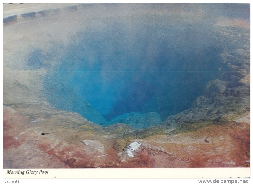 (100) Volcan - Volcano - Morning Glory Pool - Yellowstone