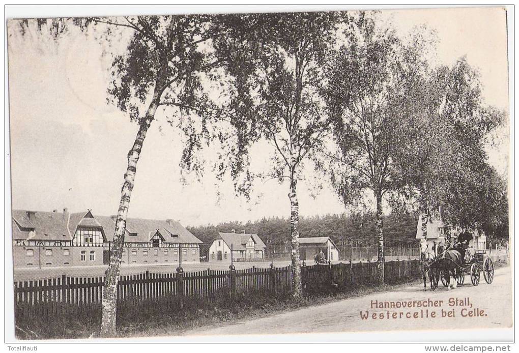 Westercelle Bei CELLE Hannover Scher Stall Belebt Pferde Kutsche 5.11.1910 Gelaufen - Celle