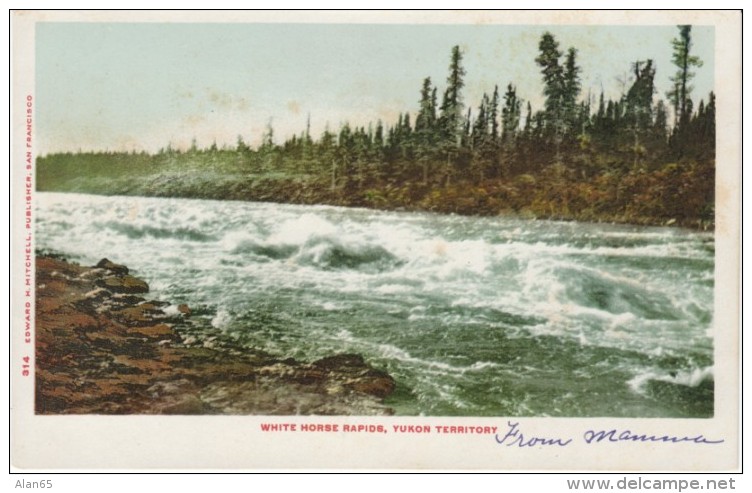 White Horse River Rapids Yukon Territory Canada, C1900s Vintage Postcard - Yukon