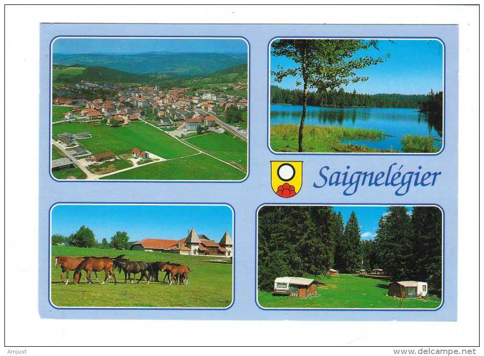 Suisse // Berne // Saignelégier - Saignelégier