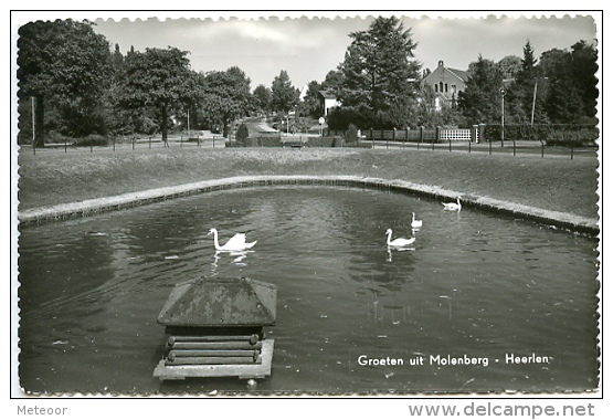 Heerlen - Groeten Uit Molenberg - Heerlen