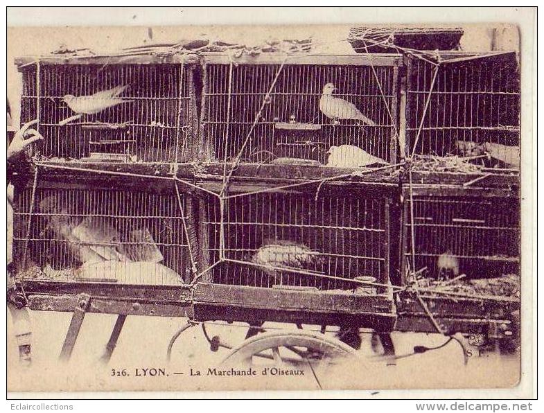Lyon  69  La Marchande D'oiseaux  Pigeons - Sonstige & Ohne Zuordnung