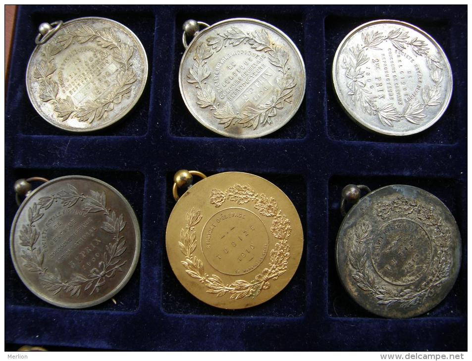 Belgium  11 Old Medals -Belgique 11  Medailles  1899-1910  Chevaux - Bovine - Firma's