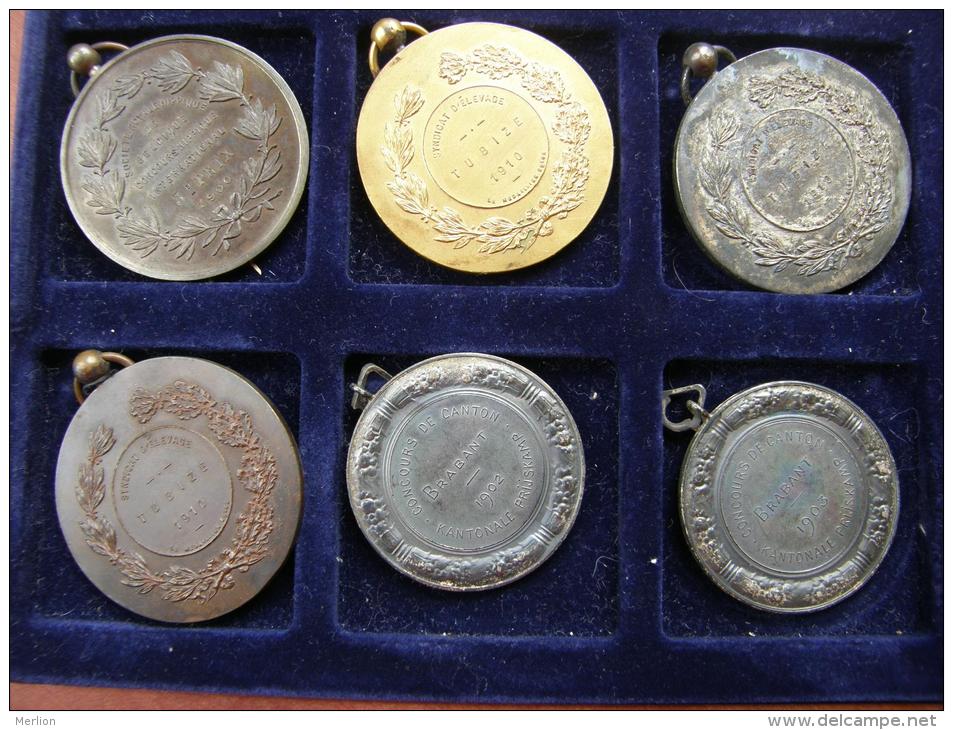 Belgium  11 Old Medals -Belgique 11  Medailles  1899-1910  Chevaux - Bovine - Unternehmen