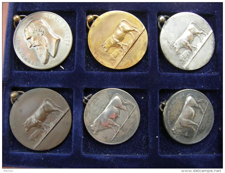 Belgium  11 old medals -Belgique 11  medailles  1899-1910  Chevaux - Bovine