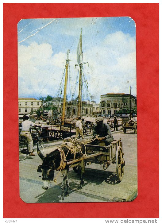 * Donkey Cart, Chamberlain Bridge. Bridgetown, BARBADOS (BARBADES)-1956(Âne Attelé+Bateau Numéroté) - Barbades