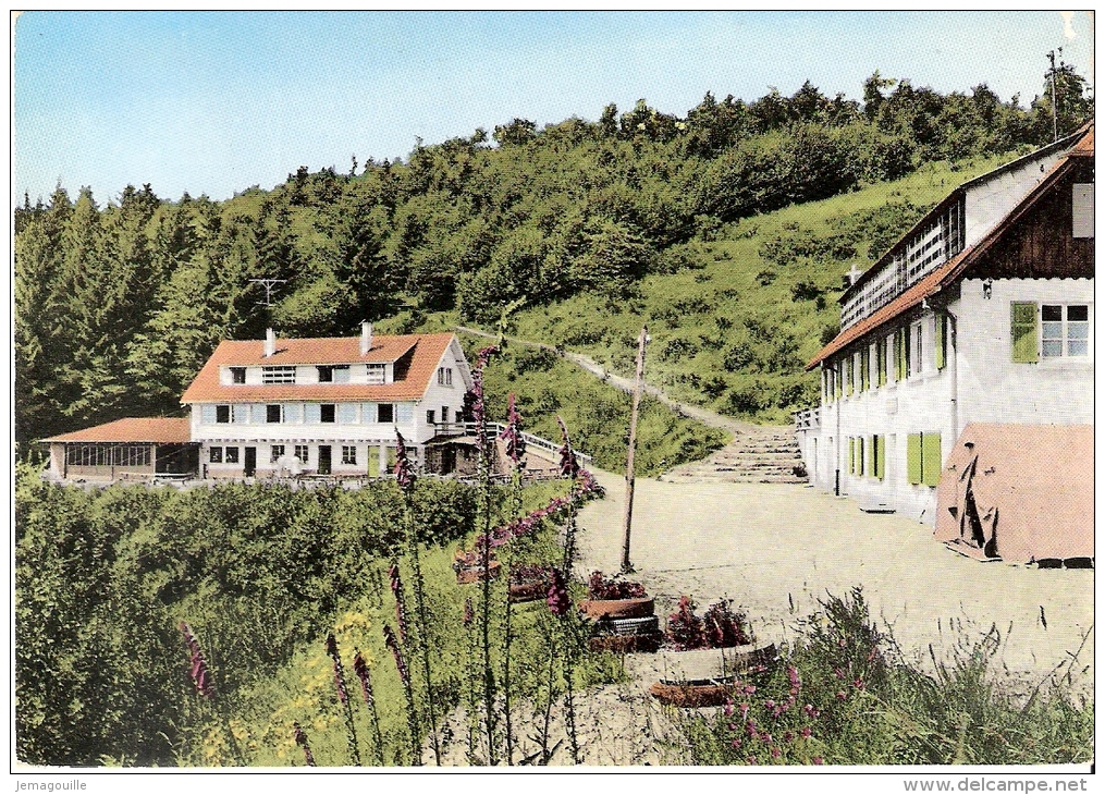 SAINTE-CROIX-AUX-MINES 68 - Collonie De Vacances - LES MOINEAUX DE SELESTAT- W-2 - Sainte-Croix-aux-Mines