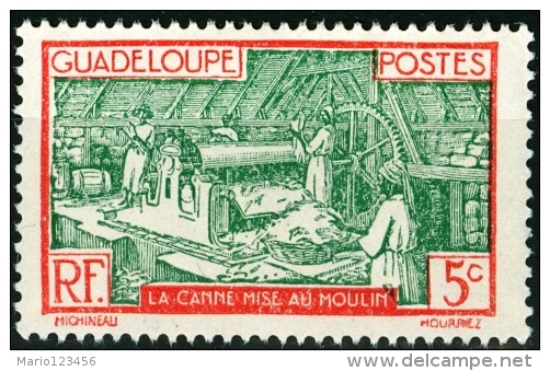 GUADALUPA, GUADELOUPE, COLONIA FRANCESE, FRENCH COLONY, 1916-1917, FRANCOBOLLO NUOVO (MNG), Scott 176 - Neufs