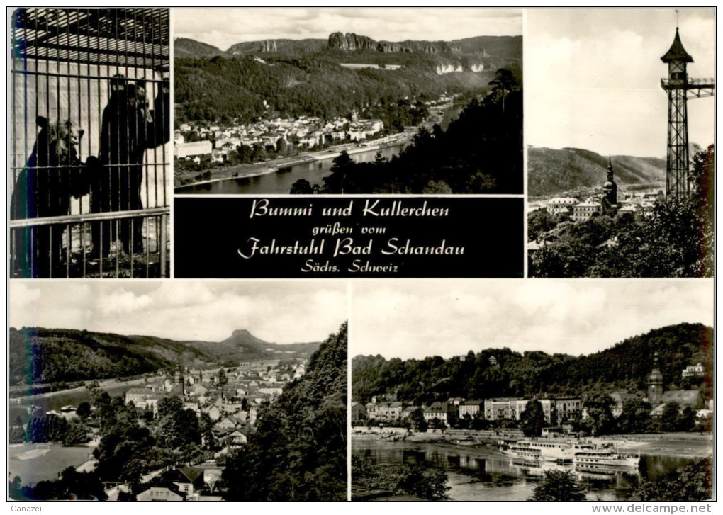 AK Bad Schandau, Bärenzwinger Mit Bummi Und Kullerchen, Ung, 1973 - Bad Schandau