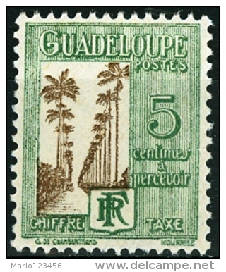 GUADALUPA, GUADELOUPE, COLONIA FRANCESE, FRENCH COLONY, 1928, FRANCOBOLLO NUOVO, SENZA GOMMA (MNG), Scott J27 - Neufs