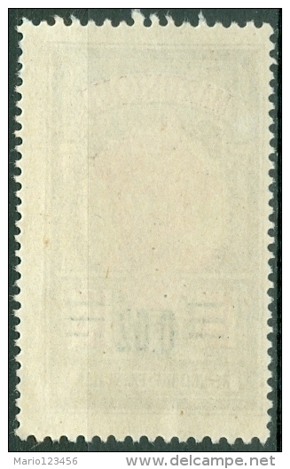 MARTINICA, MARTINIQUE, COLONIA FRANCESE, FRENCH COLONY, 1922, FRANCOBOLLO NUOVO, (MNG), Scott 109 - Neufs