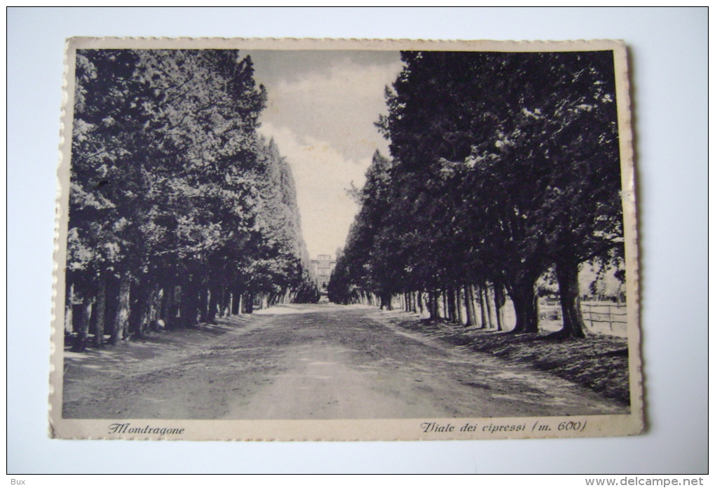 FRASCATI   NOBILE COLLEGIO   MONDRAGONE      ROMA LAZIO  VIAGGIATA  COME DA FOTO IMMAGINE OPACA - Enseñanza, Escuelas Y Universidades