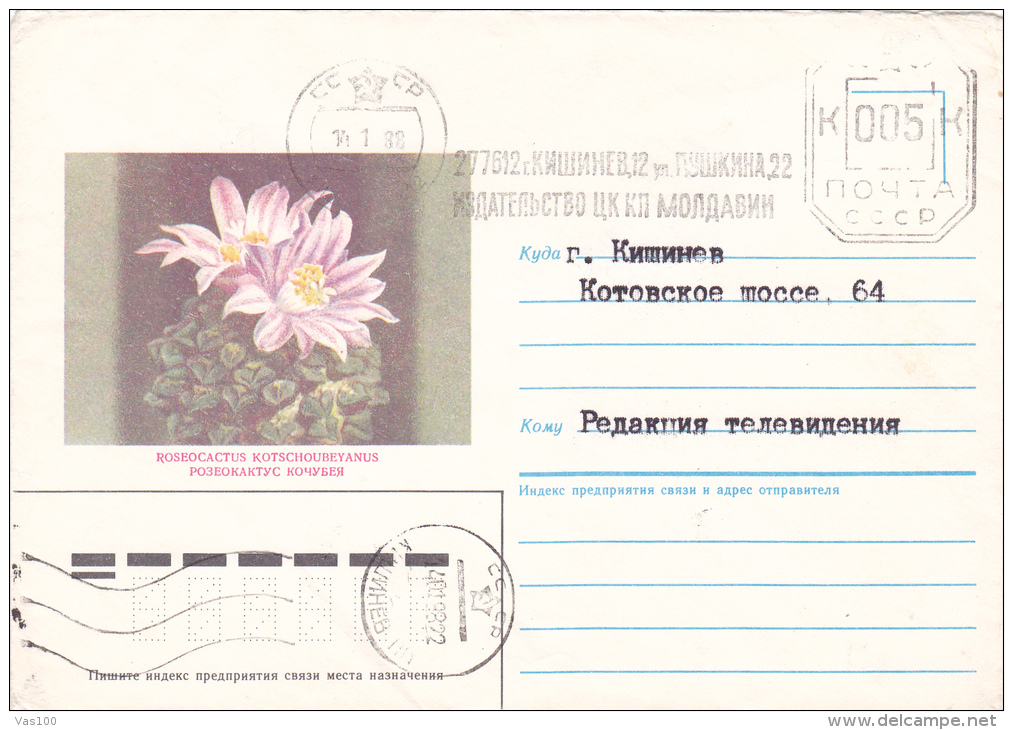 CACTUS, ROSEOCACTUS,1988,COVER STATIONERY,SEND TO MAIL,RUSSIE. - Cactusses