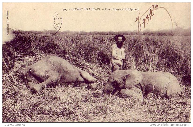 Congo      Une Chasse A L'éléphant - French Congo