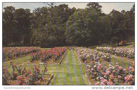 South Carolina Orangeburg Edisto Gardens - Orangeburg