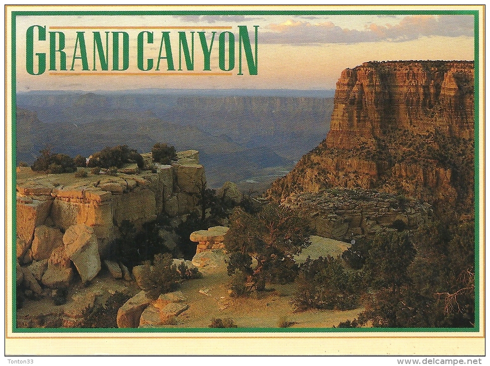 ARIZONA  - ETAS UNIS - GRAND CANYON NATIONAL PARK - 150613 - Grand Canyon