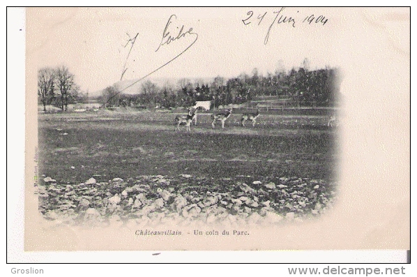 CHATEAUVILLAIN UN COIN DU PARC  (CERFS ET BICHES)  1904 - Chateauvillain