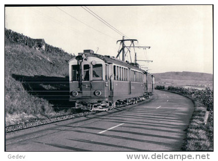 Chemin De Fer Schaffhouse, Train Près De Siblingen, Photo 1964 BVA  StSS 14.8 - Schaffhouse