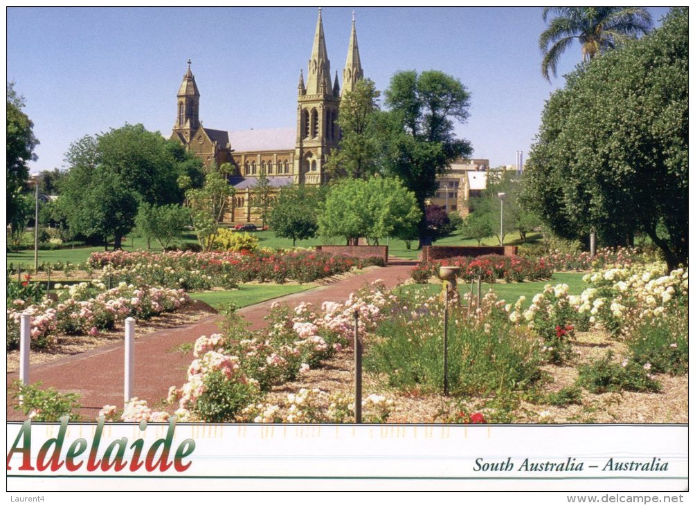 (972) Australia - SA - Adelaide Cathedrale - Adelaide